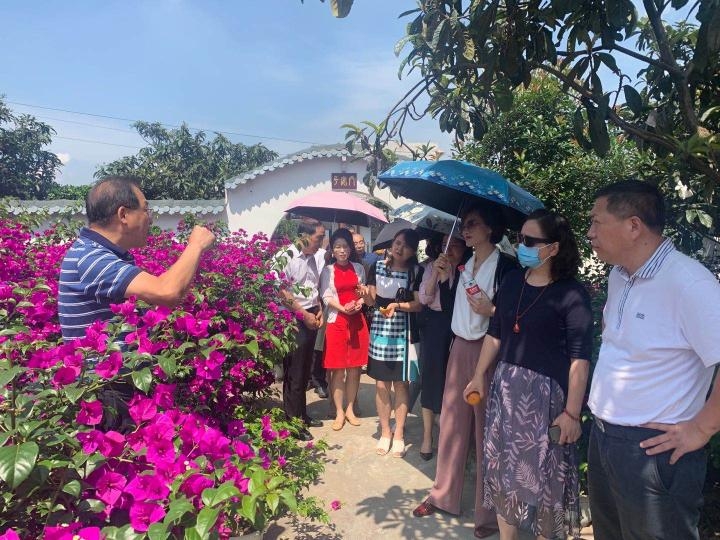 科技改变生活！重庆市科学技术协会2020年基层科普区域交流观摩团走进巴南······