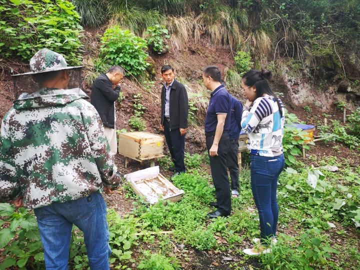 “苦日子”变“甜日子”！一品街道为贫困户搭建平台兴办扶贫产业