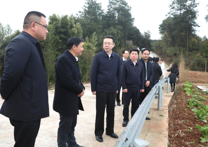 何友生到东温泉镇调研党建引领乡村振兴及创文相关工作