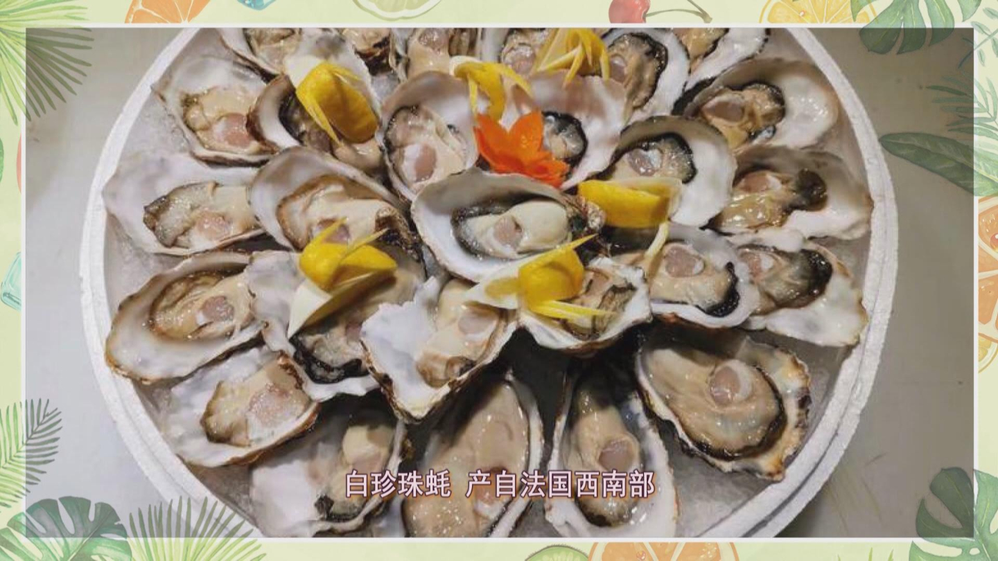 巴南融媒体中心综合频道12月25日节目收视指南