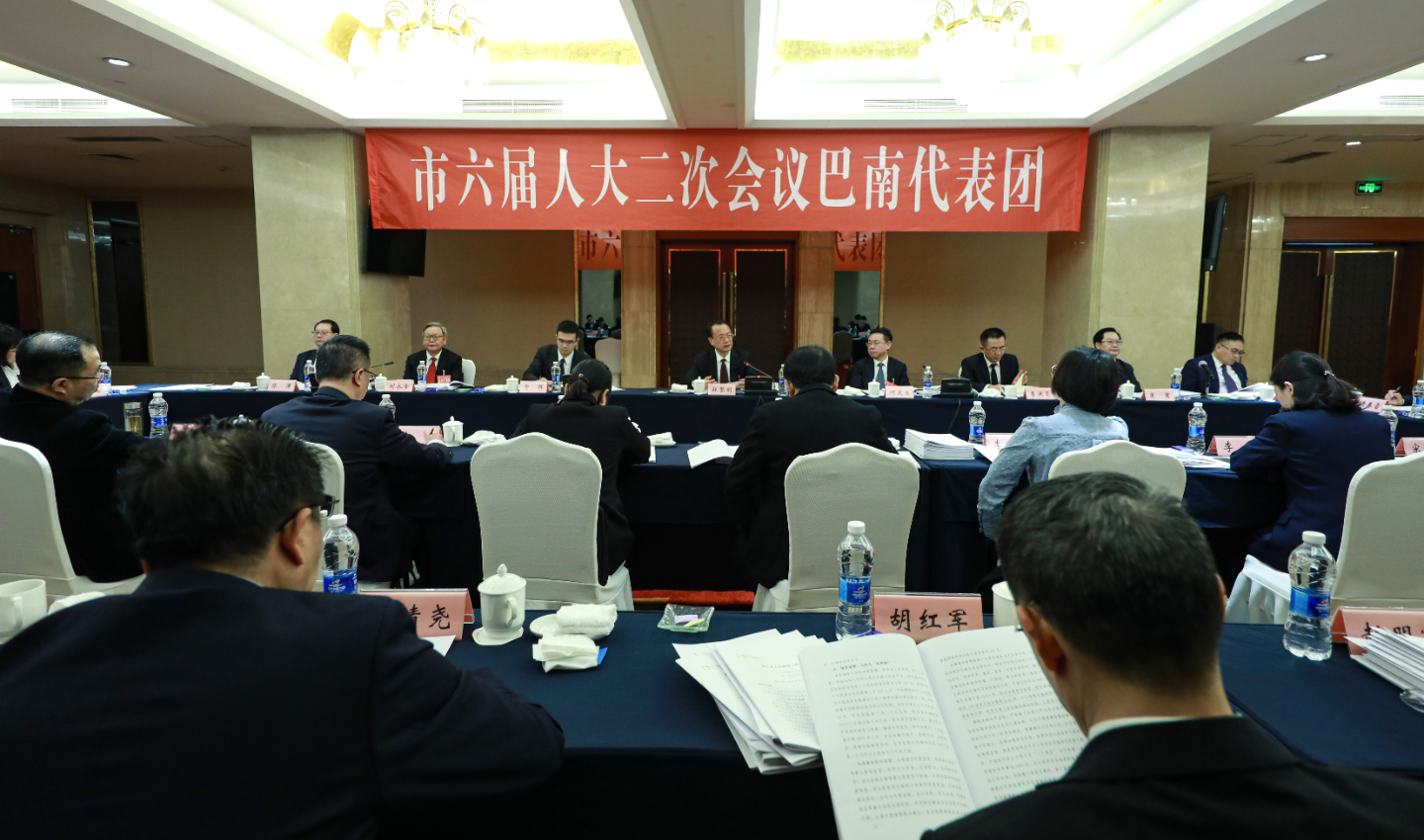 市六届人大二次会议巴南代表团举行全体会议，审议市人大常委会工作报告