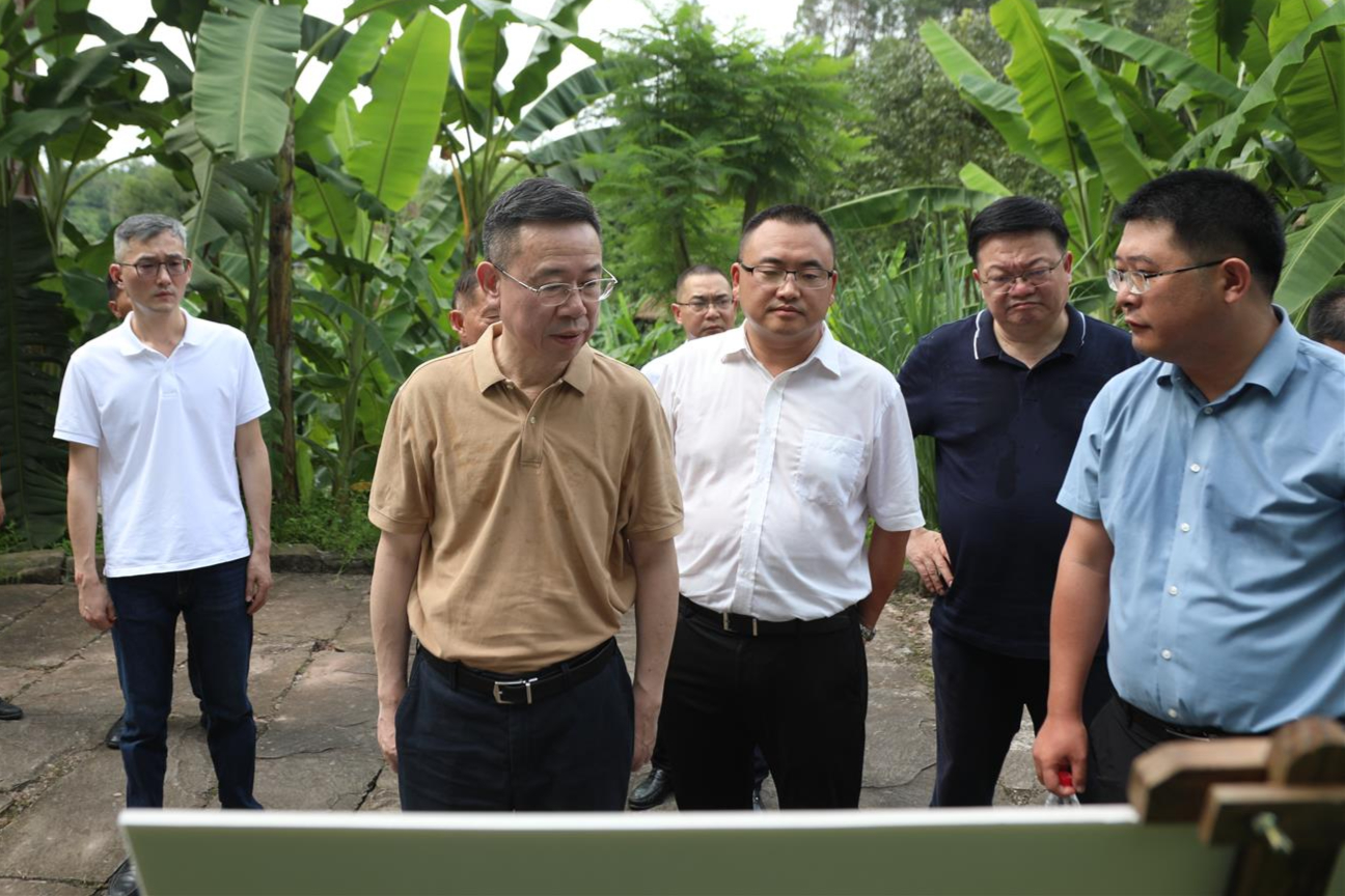 何友生：统筹安全与发展 推动乡村实现全面振兴