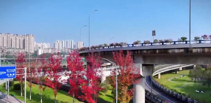 冬日阳光那么暖，你确定不来沙滨路看红叶赏江景吗