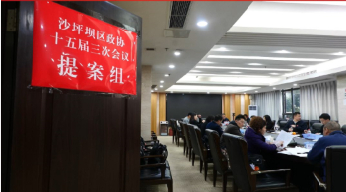 区政协十五届三次会议收到提案494件