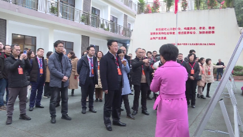 区政协委员开展会前集中视察 看沙坪坝新变化