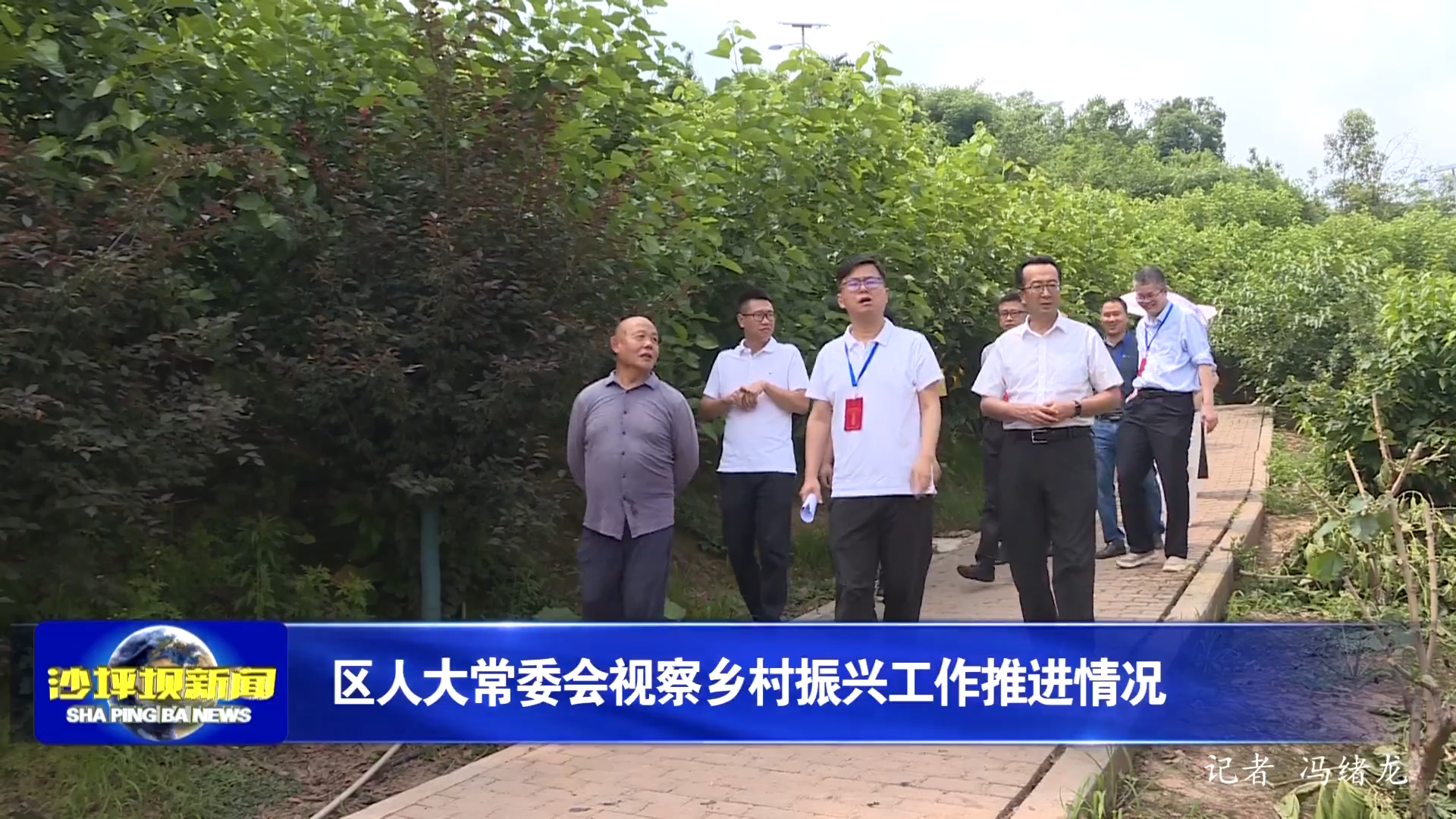 区人大常委会视察乡村振兴工作推进情况