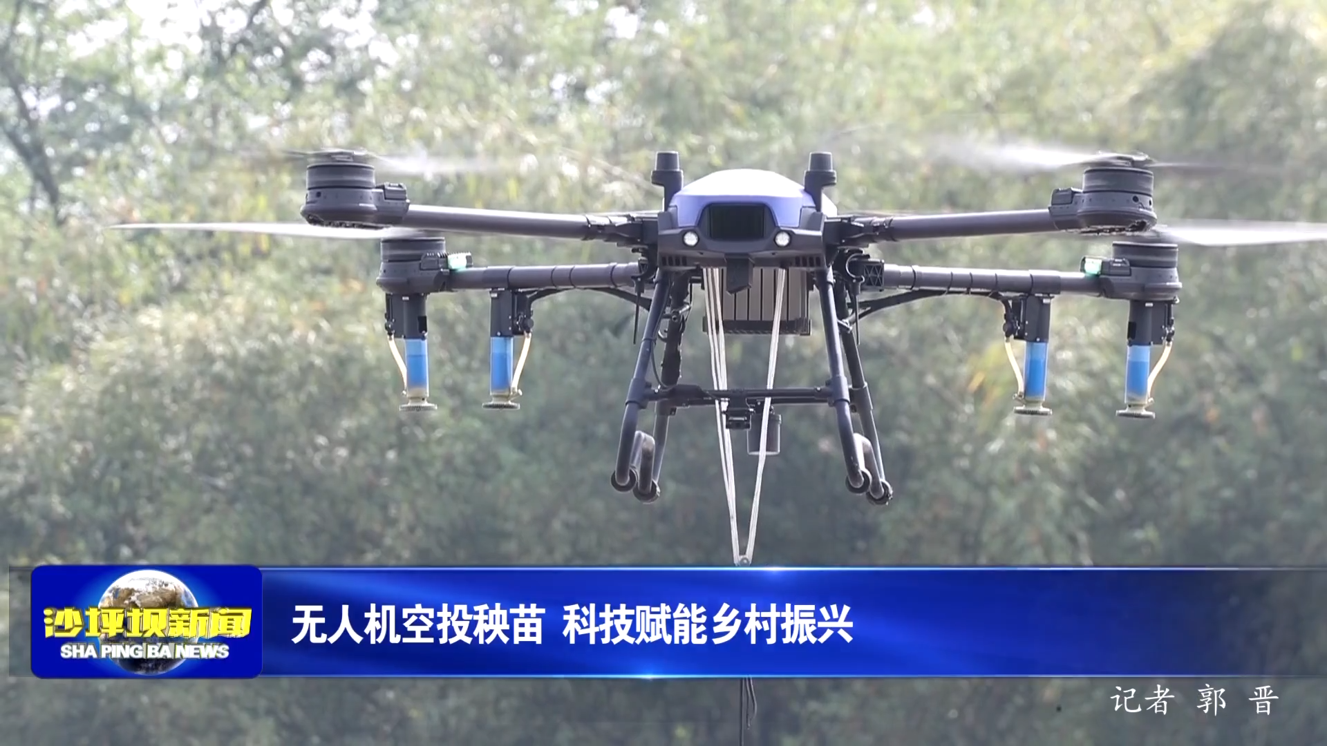 无人机空投秧苗 科技赋能乡村振兴