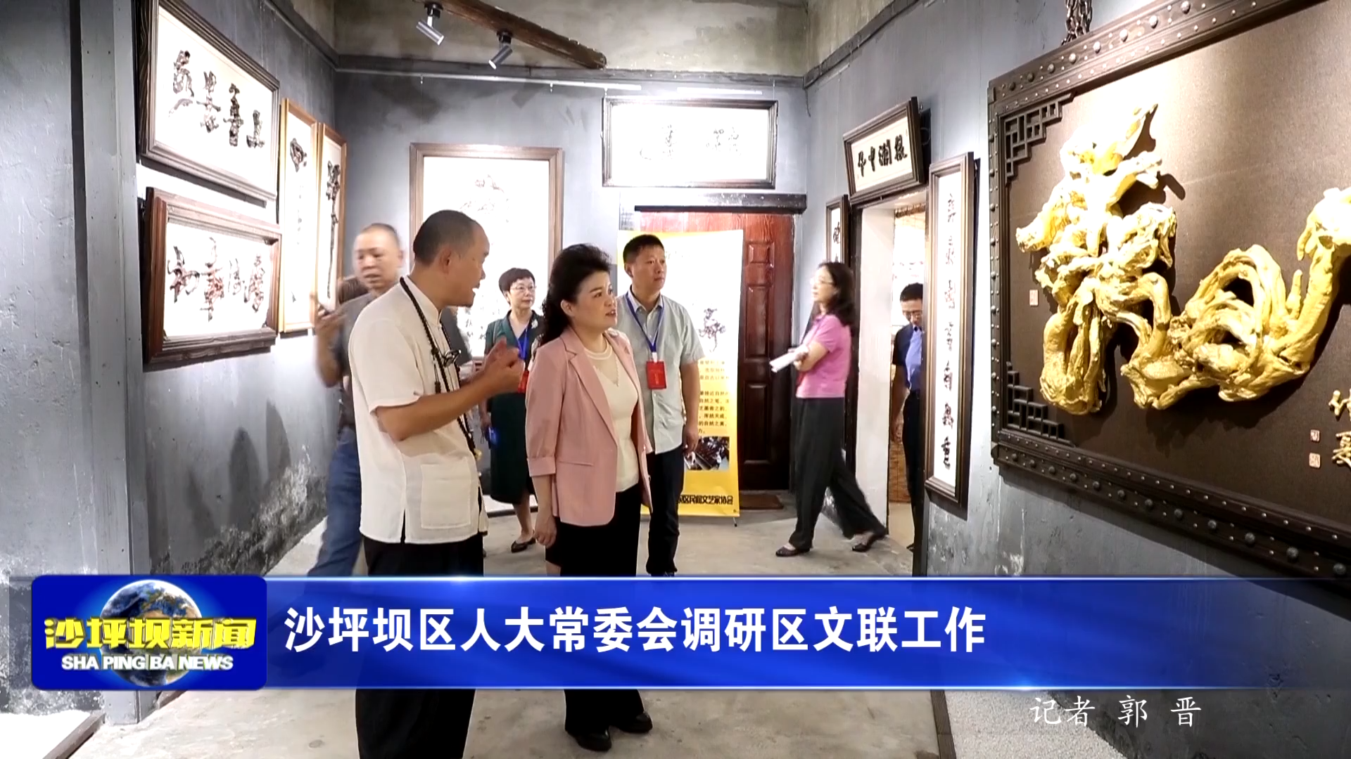 沙坪坝区人大常委会调研区文联工作