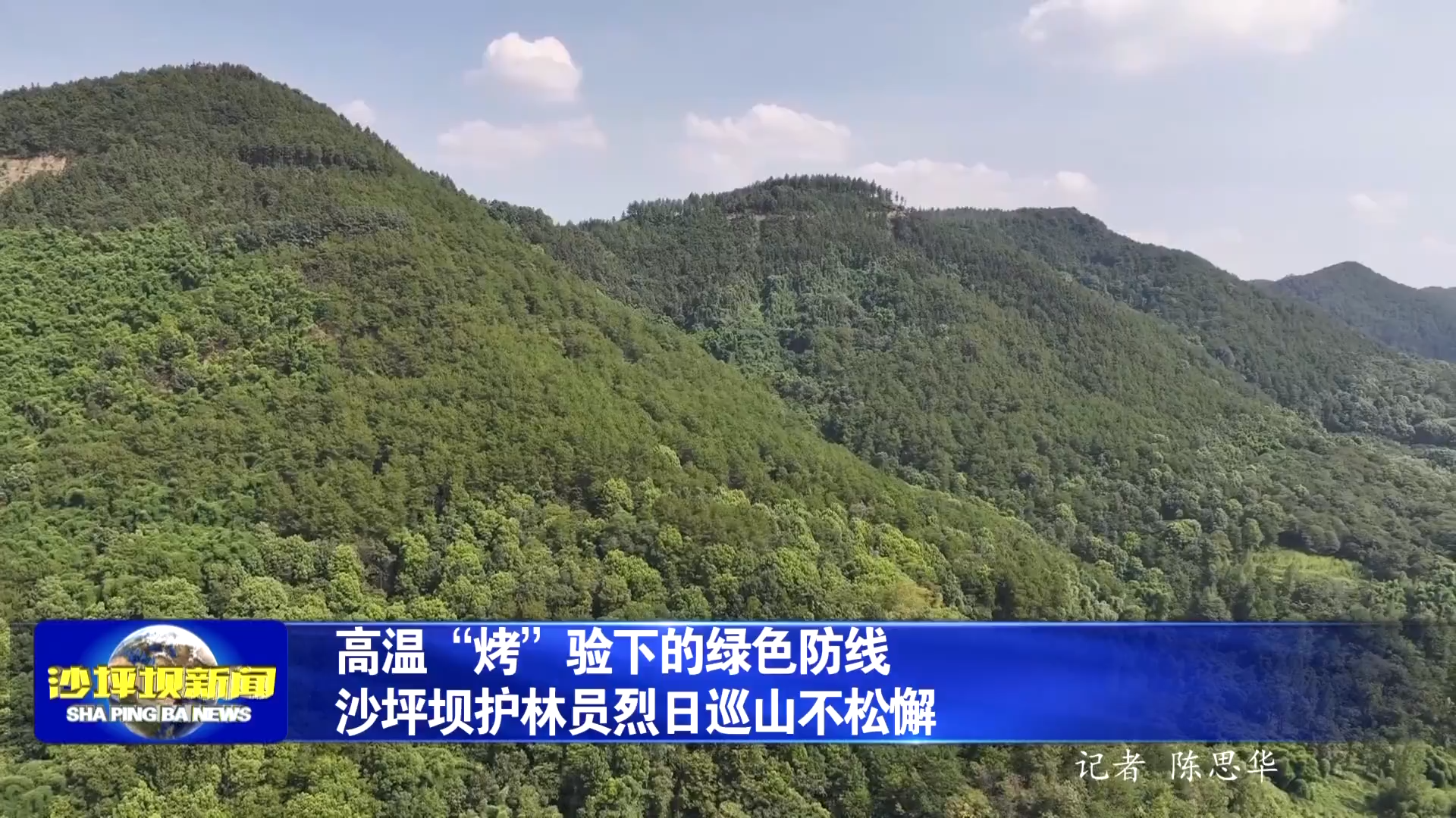 高温“烤”验下的绿色防线 沙坪坝护林员烈日巡山不松懈