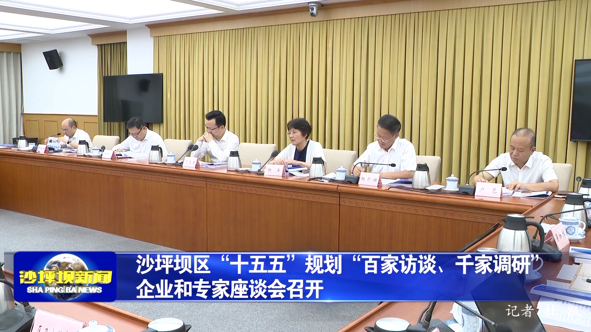 沙坪坝区“十五五”规划“百家访谈、千家调研” 企业和专家座谈会召开