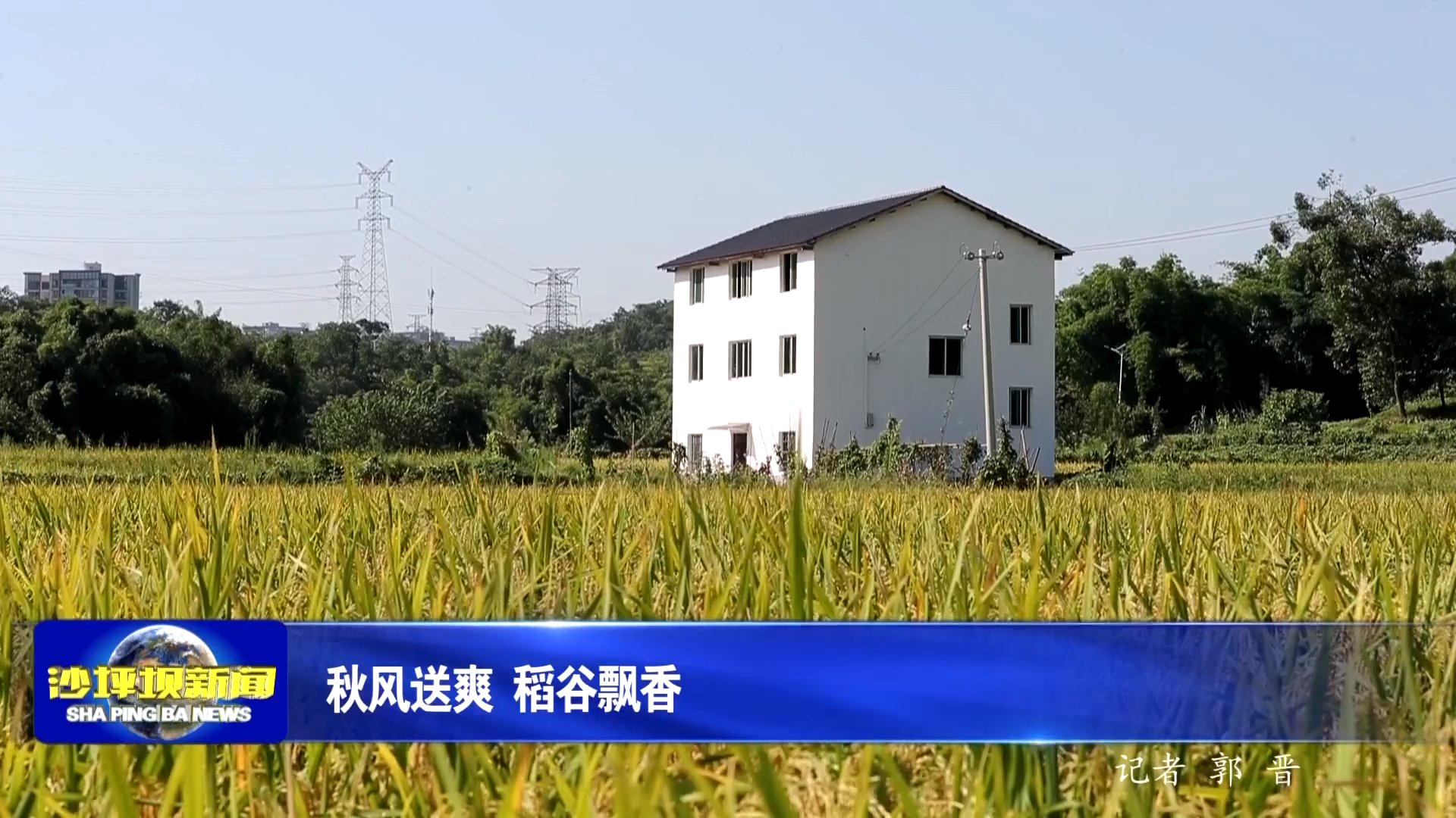 秋风送爽 稻谷飘香