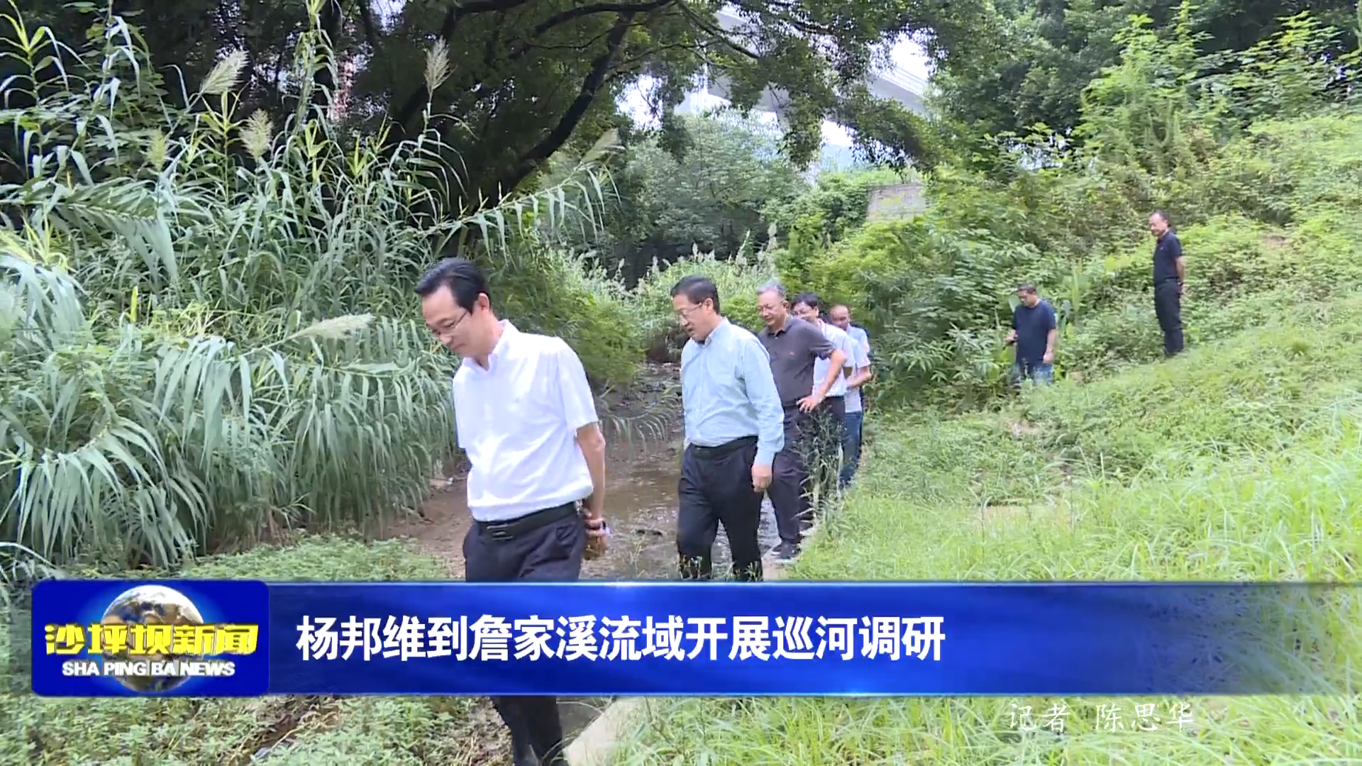 杨邦维到詹家溪流域开展巡河调研