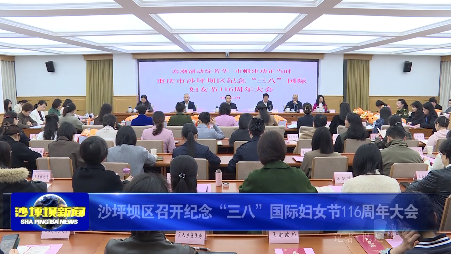 沙坪坝区召开纪念“三八”国际妇女节116周年大会