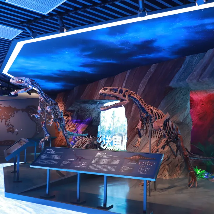 云阳地质公园博物馆走起!-重庆日报