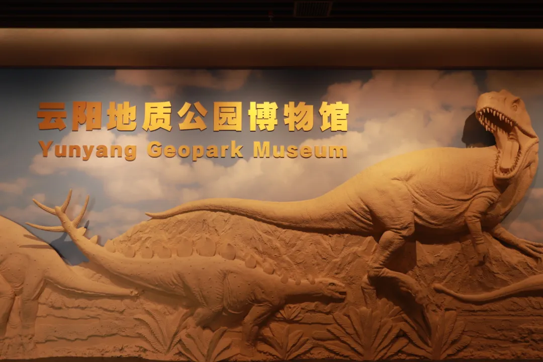 云阳地质公园博物馆走起!-重庆日报