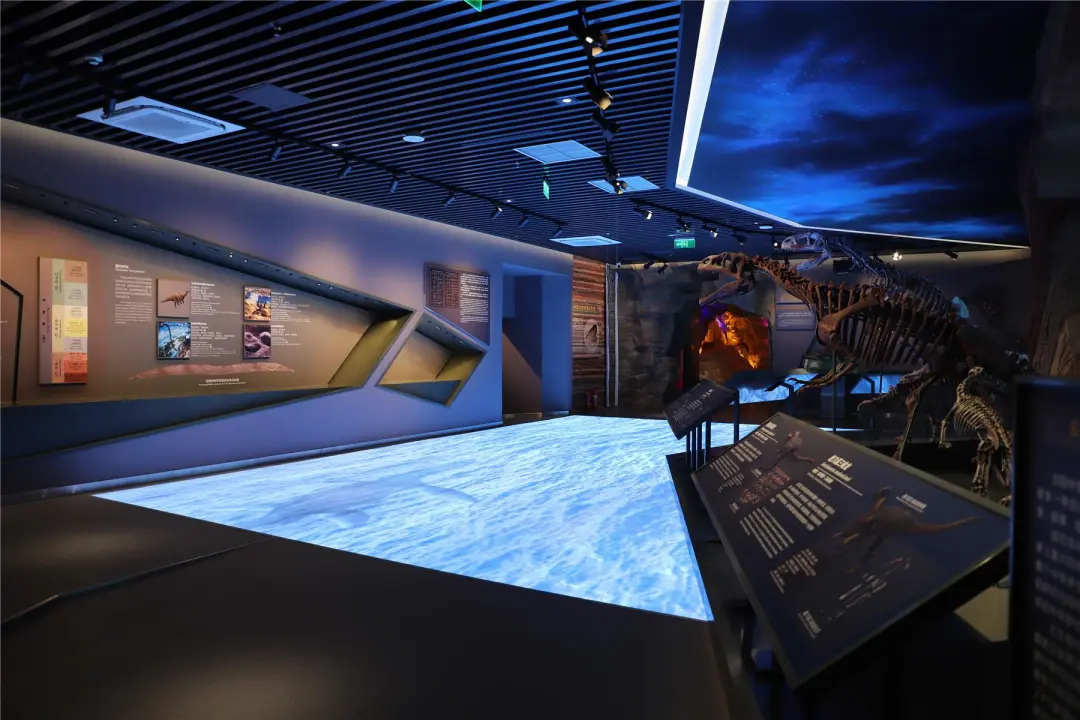 云阳地质公园博物馆走起!-重庆日报