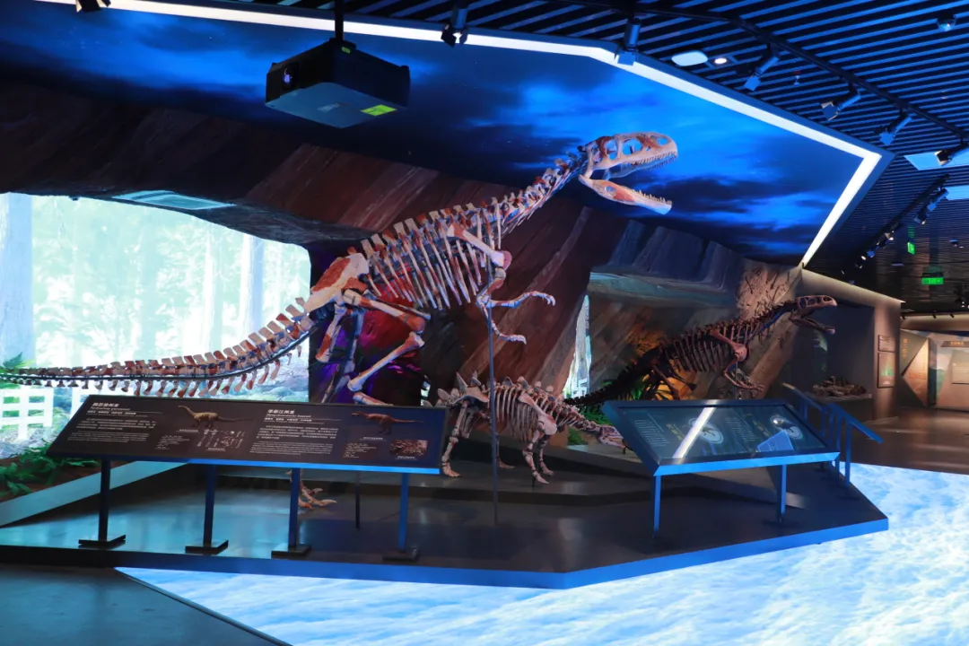 云阳地质公园博物馆走起!-重庆日报