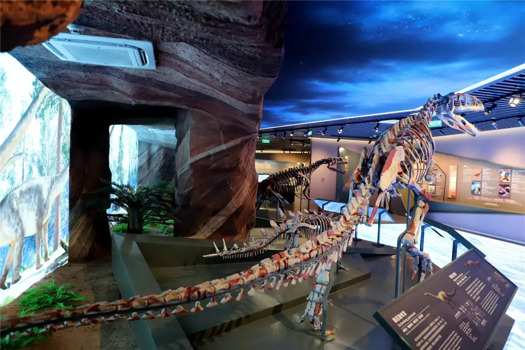 云阳地质公园博物馆走起!-重庆日报