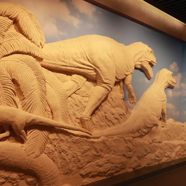 云阳地质公园博物馆走起!-重庆日报