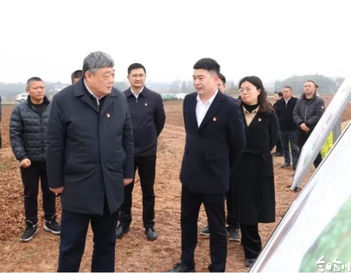 郑立伟调研粮食安全暨春耕备耕工作
